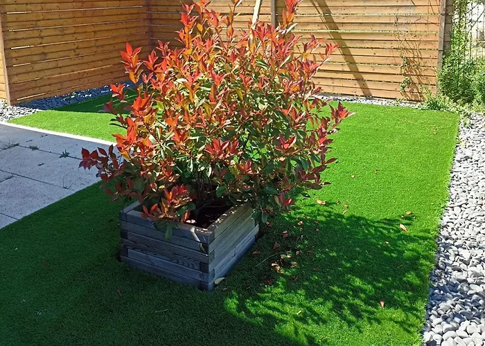 Apartment Mini De 30 Mts En